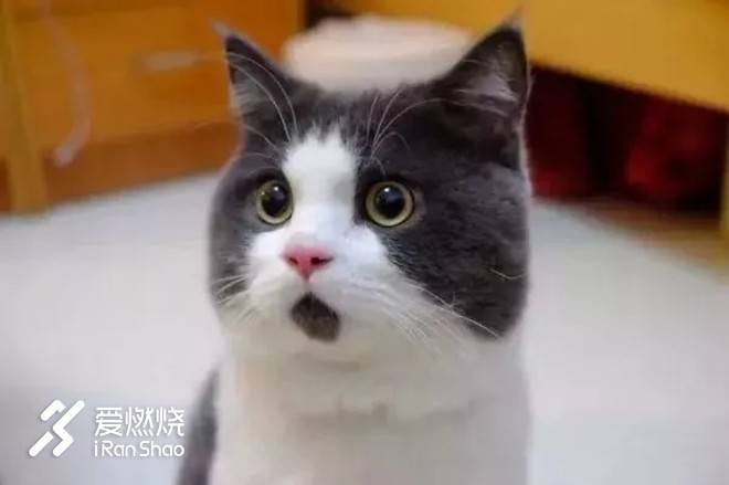 燃烧的盛夏，每一步都坚定——练一夏学员总结