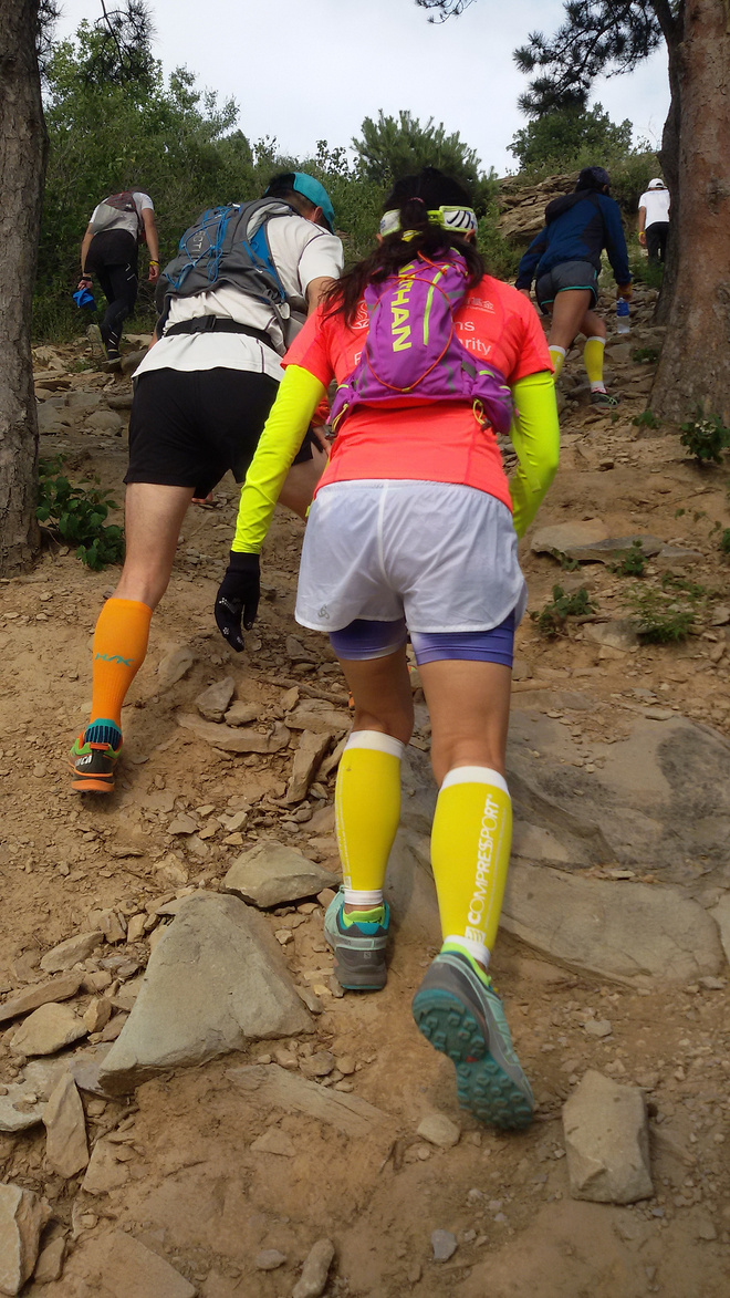 迷失的羔羊---黑石头初野记