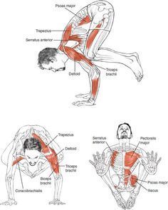 运动教室 | 请查收，这里有你需要的跑者专项力量训练