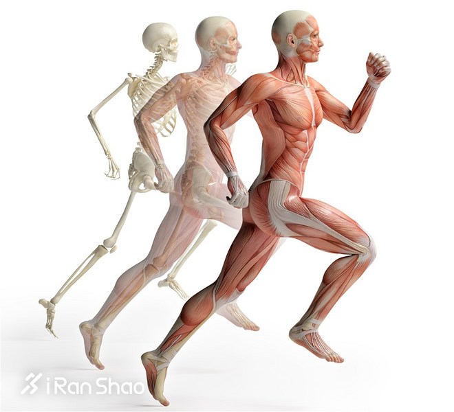 运动教室 | 无伤跑更快？力量训练必不可少！