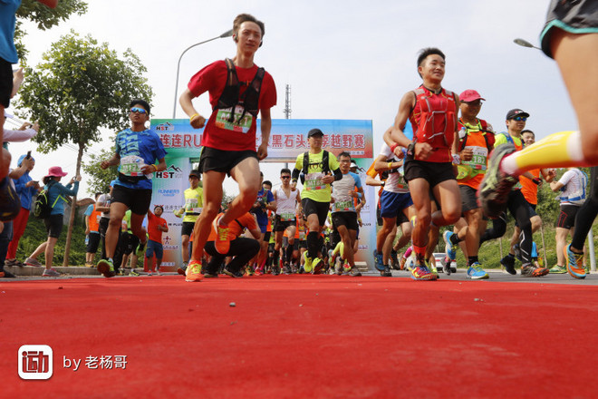 迷失的羔羊---黑石头初野记