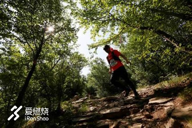 关于跑步，我想说的是…