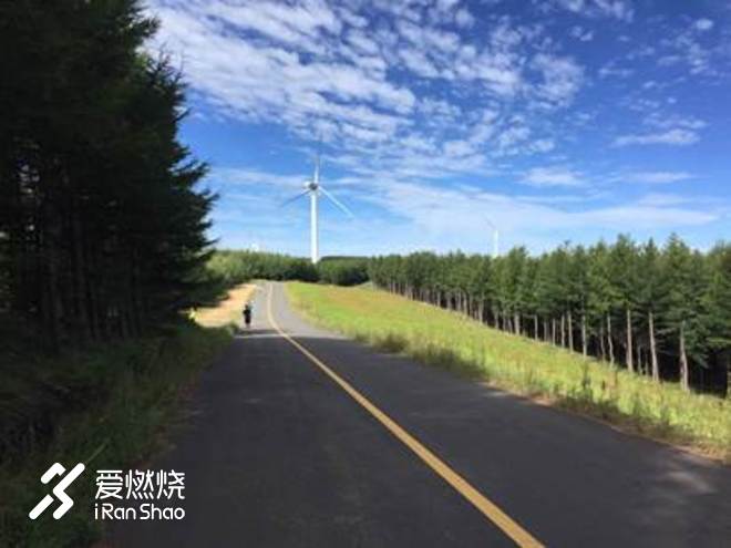 关于跑步，我想说的是…