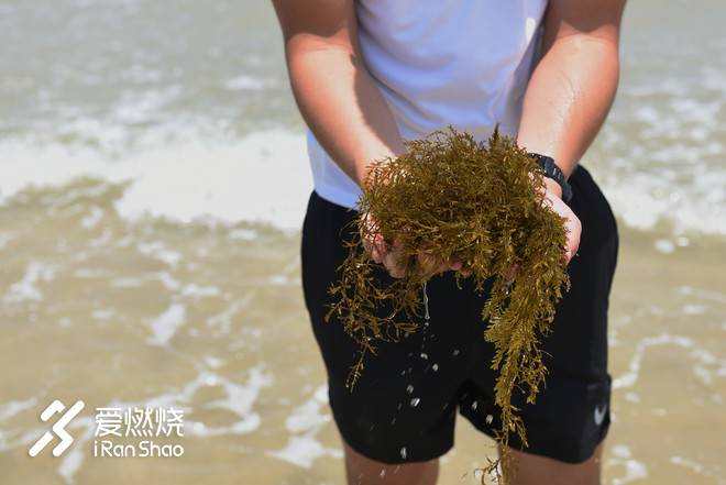 平潭村跑：且听风吟时，遥想一湾峡的归航