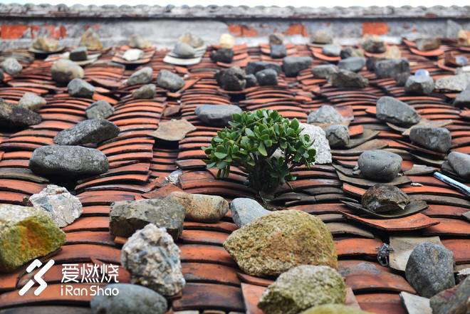 平潭村跑：且听风吟时，遥想一湾峡的归航