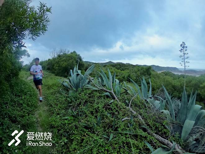平潭村跑：且听风吟时，遥想一湾峡的归航