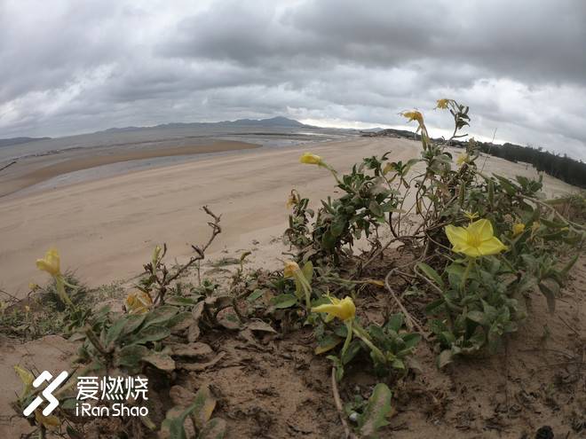 平潭村跑：且听风吟时，遥想一湾峡的归航