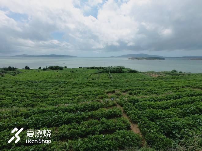 平潭村跑：且听风吟时，遥想一湾峡的归航