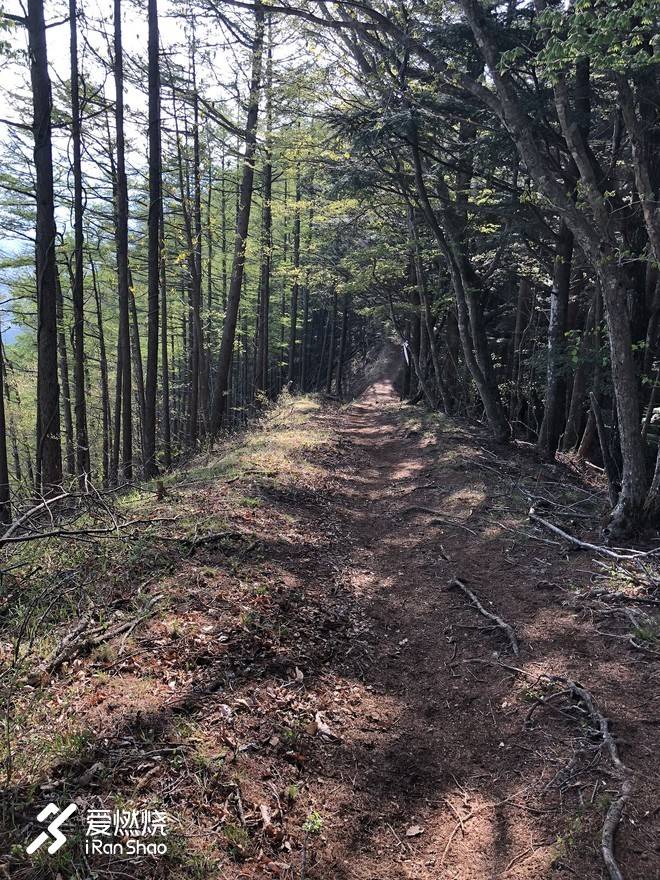 2018UTMF 我的首个百英里越野赛