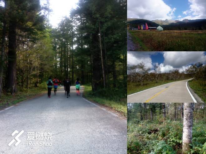 赛记丨我在天池旁种了棵草