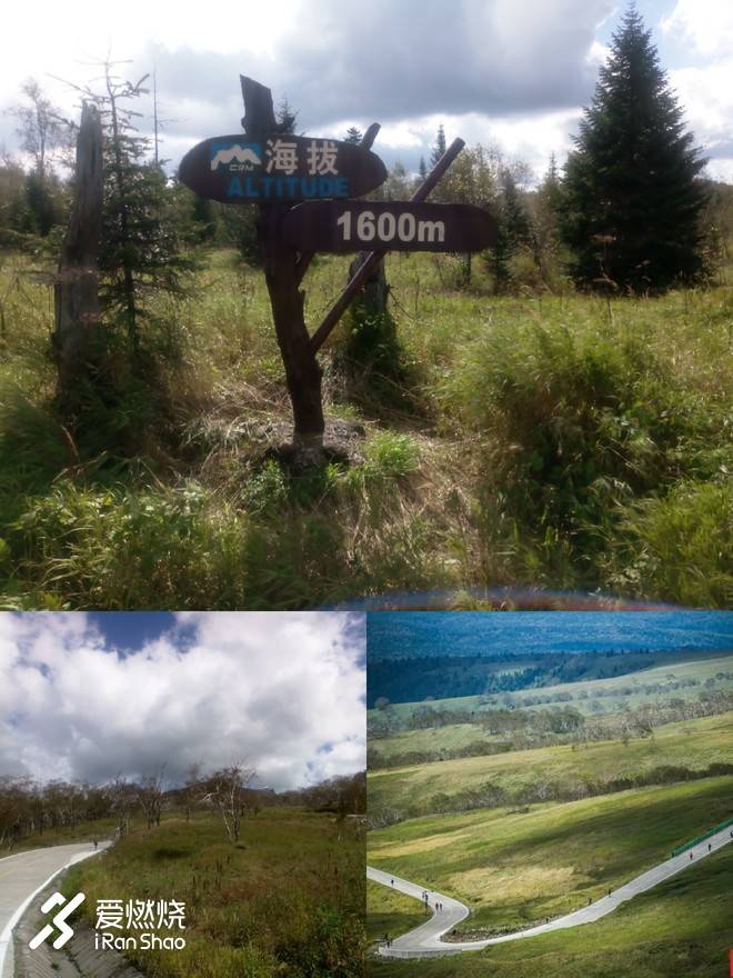 赛记丨我在天池旁种了棵草