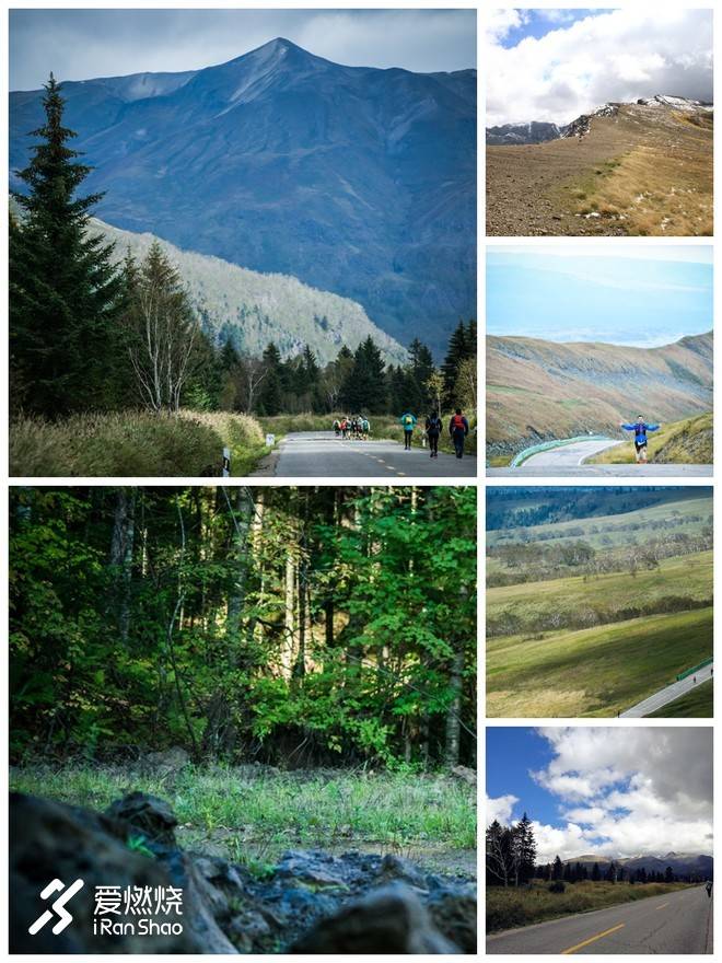 赛记丨我在天池旁种了棵草