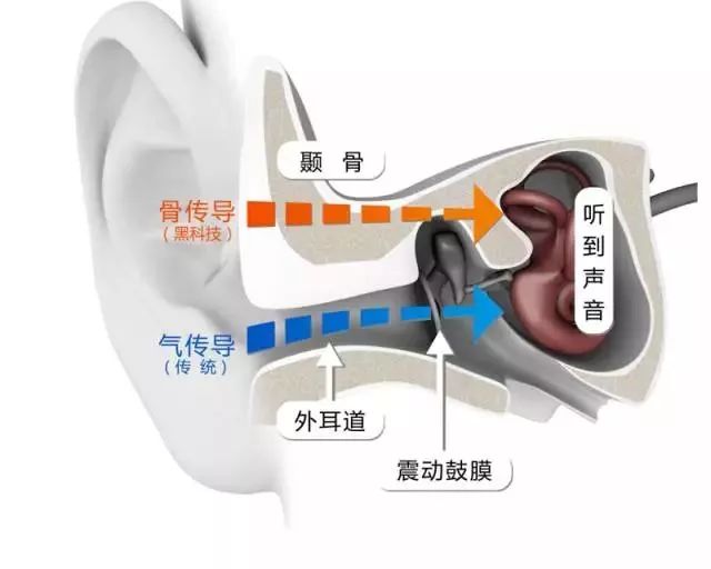 线下试听会 | 小助手邀您来体验韶音骨传导耳机！