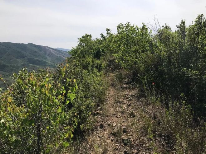 我在崇礼，发现新的自己