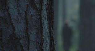 越野跑进灵区？跑步遇南墙？跑步中的“惊吓”瞬间…