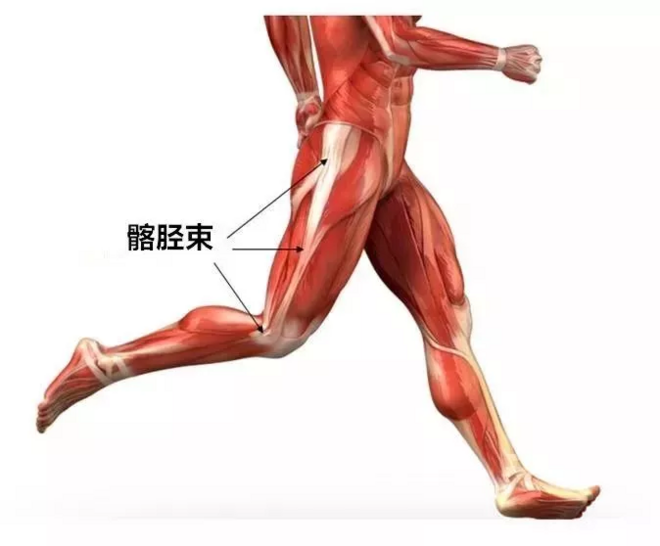 膝盖疼痛？不是深蹲就能解决的事！