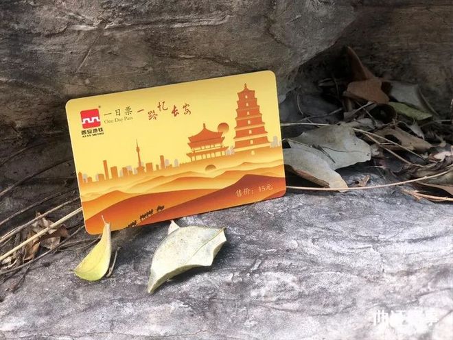 赛讯 | 蓝色浪潮即将到来，西马参赛物品揭晓！