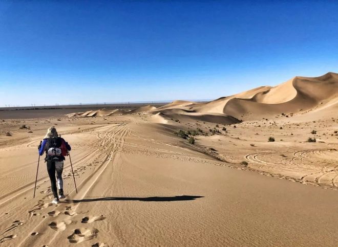 八百流沙|黎明前醒来（下）