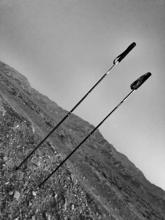 八百流沙|黎明前醒来（下）