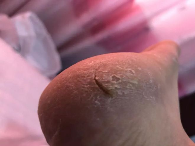 八百流沙|黎明前醒来（上）