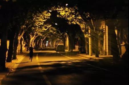 越野跑进灵区？跑步遇南墙？跑步中的“惊吓”瞬间…