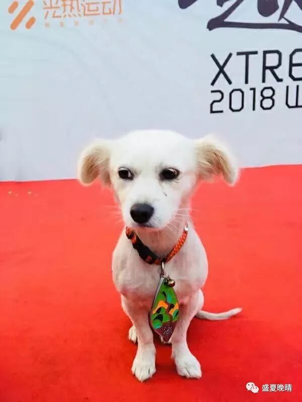 西湖群山——为爱奔跑