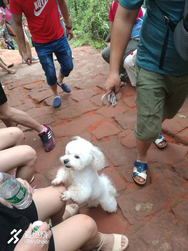 因为爱情---记2018第十一届四面山东方爱情节