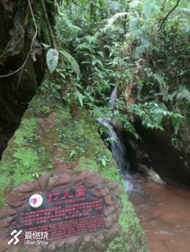 因为爱情---记2018第十一届四面山东方爱情节