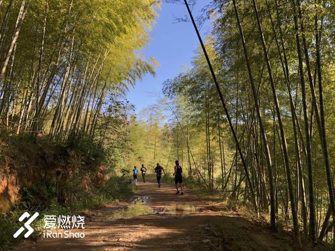 翻山越岭，真心英雄——2018 宁海越野挑战赛赛记（若凡）