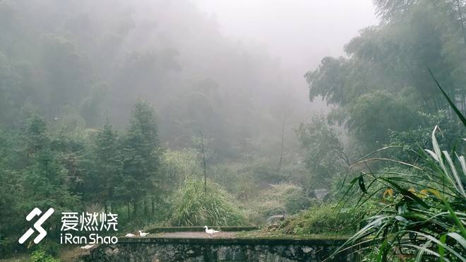 关于江山一百的流水账记