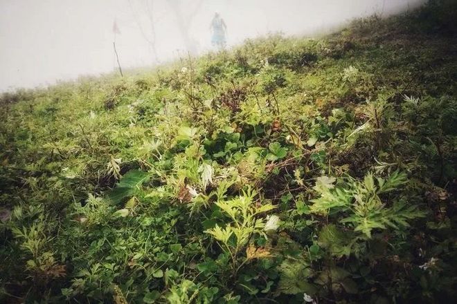 神农架画廊谷环线穿越记