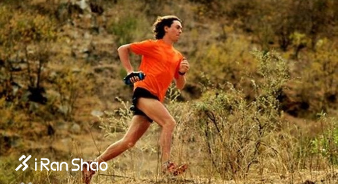 只吃素怎么跑得动？不，这只是你的误解！