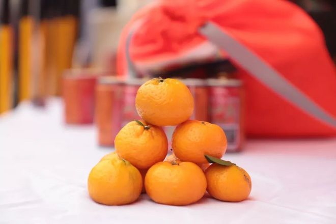 沿着革命先辈的足迹奔跑，颗颗红心闪耀英雄马！