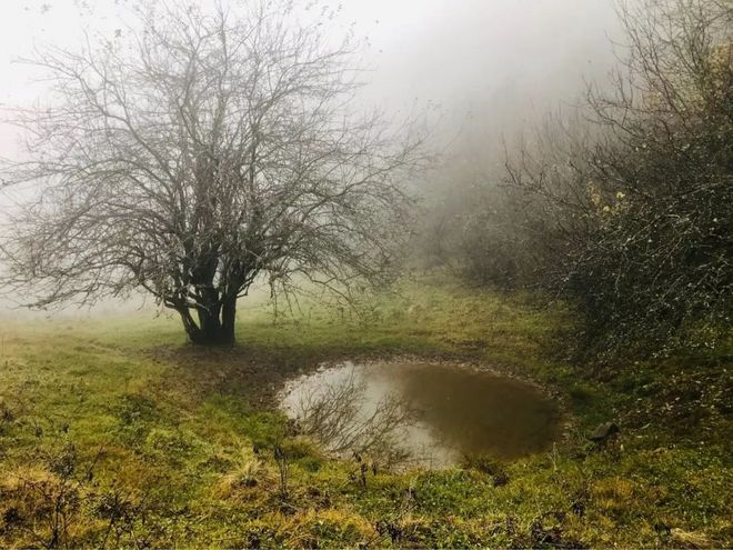 神农架画廊谷环线穿越记