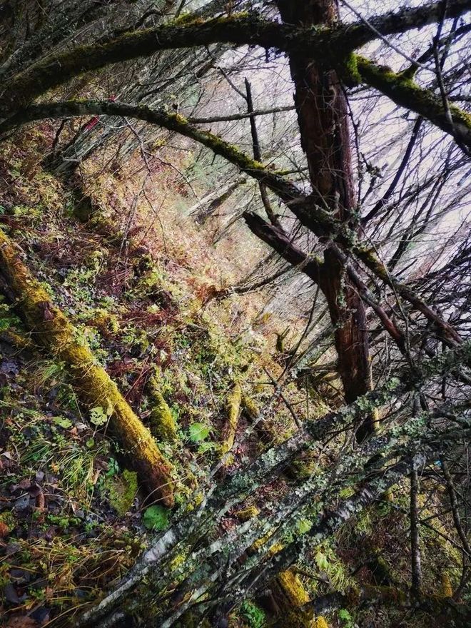 神农架画廊谷环线穿越记