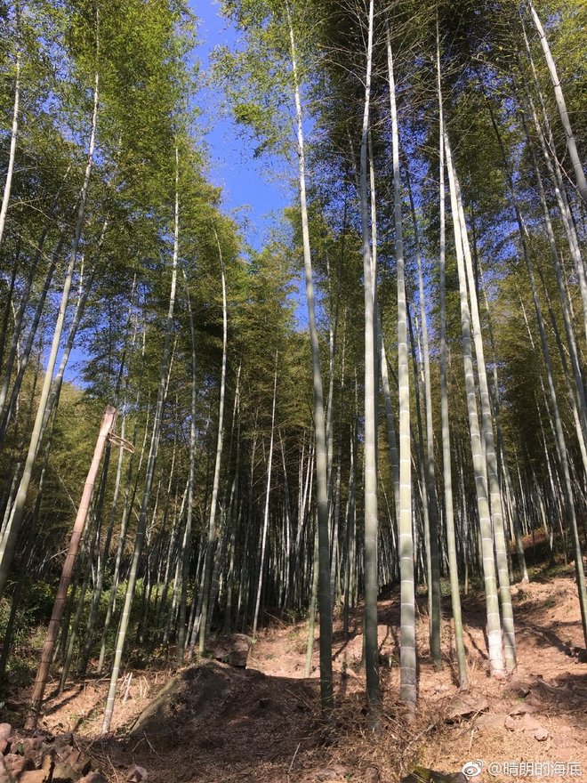 赛道速读 | 服部勇马2:07:27福冈夺冠 中国马拉松联赛即将上线