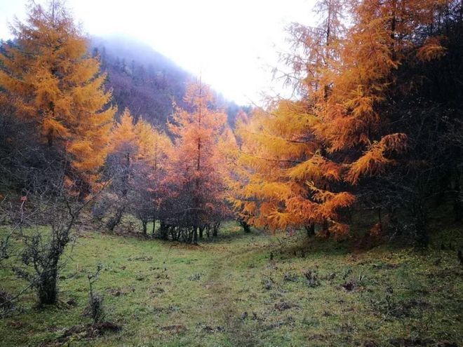 神农架画廊谷环线穿越记