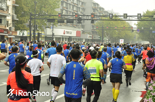 透视杭马数据 新杭马新发展