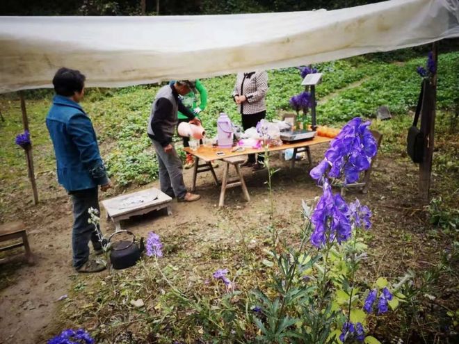 神农架画廊谷环线穿越记