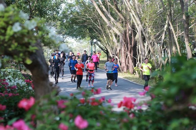 深马官方训练营第三期成功举办，解放天性，唤醒自我