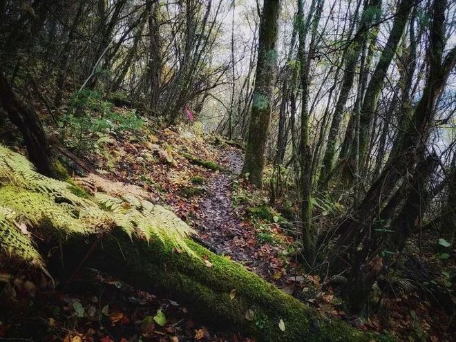 神农架画廊谷环线穿越记