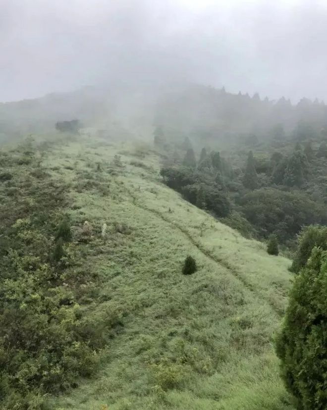 漫漫烟雨盘山路-记一次70KM越野跑挑战赛历程