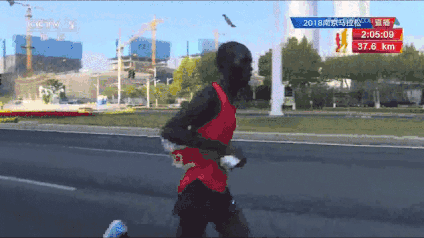 2018南京马拉松：精英兔夺冠，赛道美而虐，氛围没得说