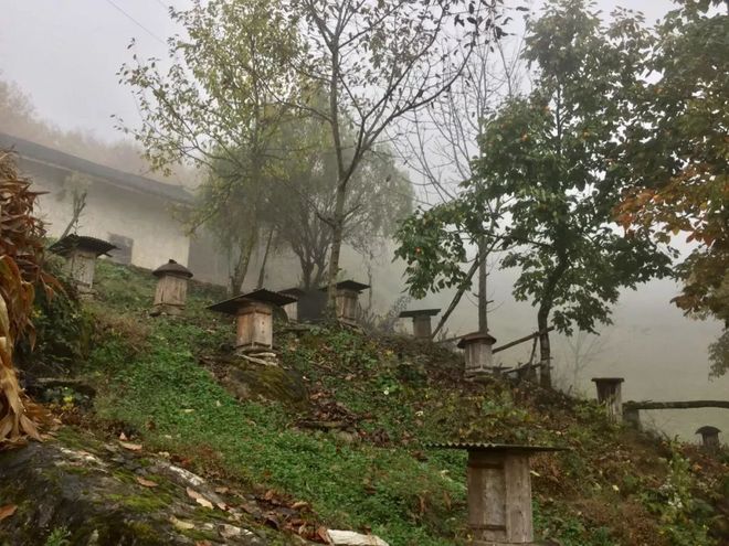 神农架画廊谷环线穿越记