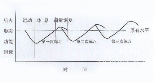 上马倒计时 | 赛前两周，训练调整助你完美表现