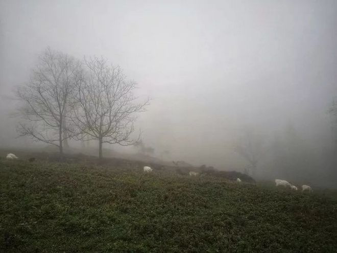 神农架画廊谷环线穿越记