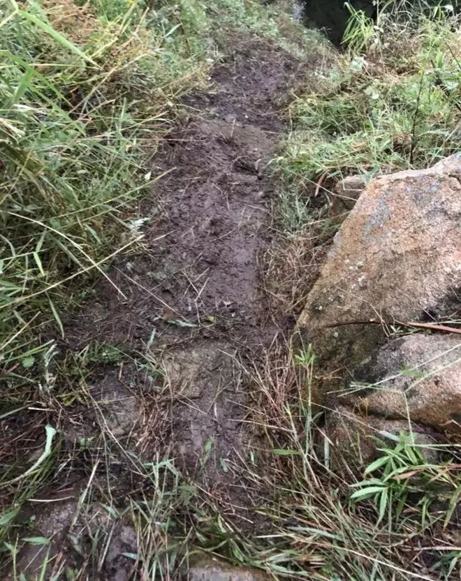 漫漫烟雨盘山路-记一次70KM越野跑挑战赛历程