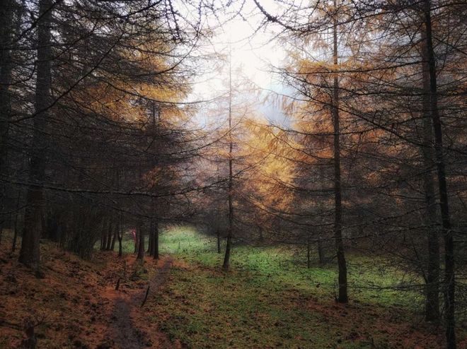 神农架画廊谷环线穿越记