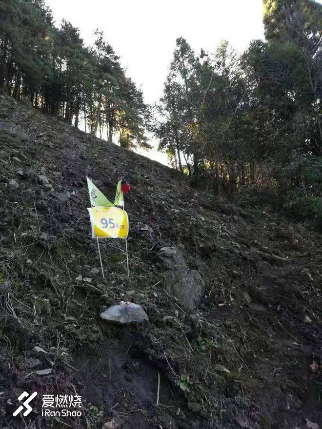 绝唱千八 心若在梦就在