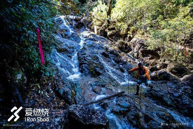 绝唱千八 心若在梦就在